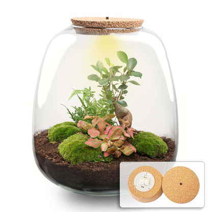 Terrarium Diy Kit - Emma - Diy Kit - ↑ 25 Cm - Ø 23 Cm