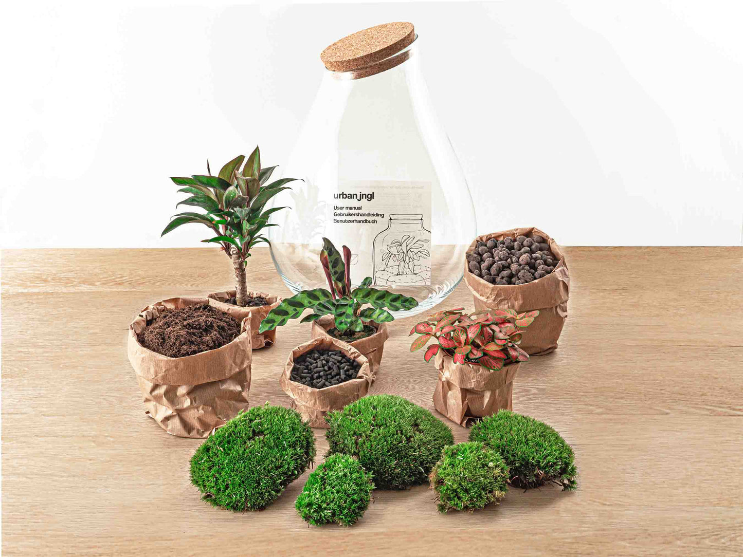 Terrarium Diy Kit - Drop Xl Palm - Bottle Garden - ↑ 37 Cm