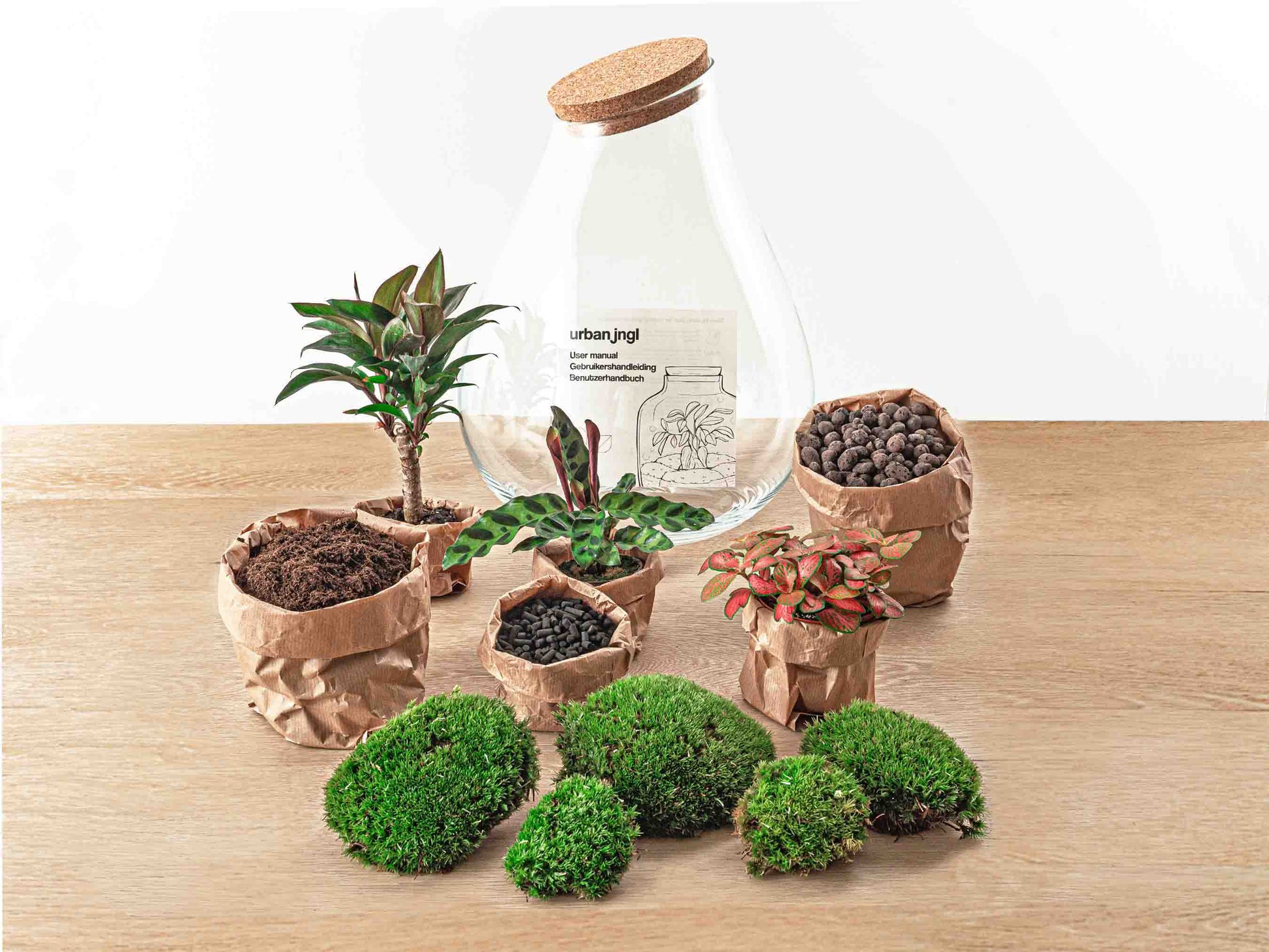 Terrarium Diy Kit - Drop Xl Palm - Bottle Garden - ↑ 37 Cm