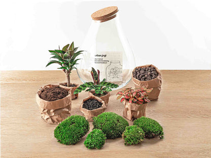 Terrarium Diy Kit - Drop Xl Palm - Bottle Garden - ↑ 37 Cm