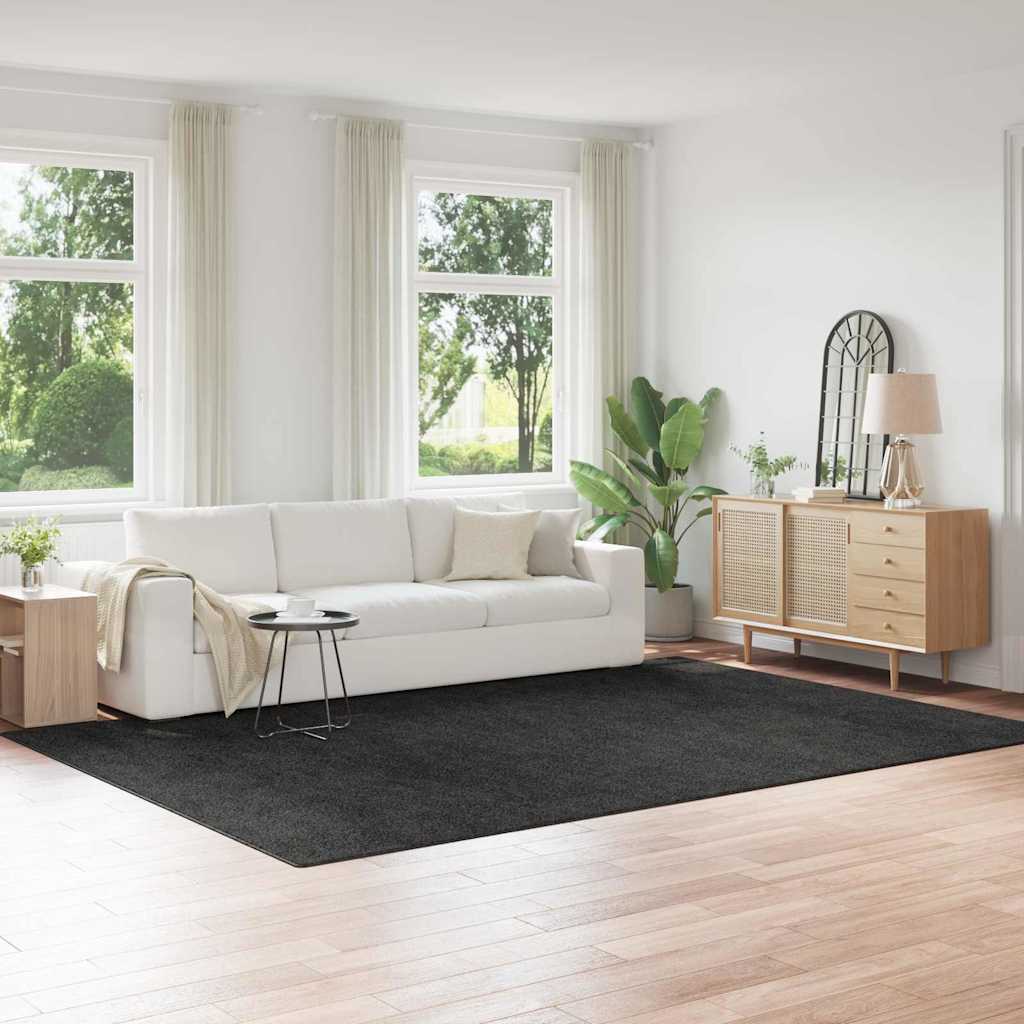 Anti-Rutsch Shaggy Teppich Pp