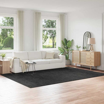 Anti-Rutsch Shaggy Teppich Pp