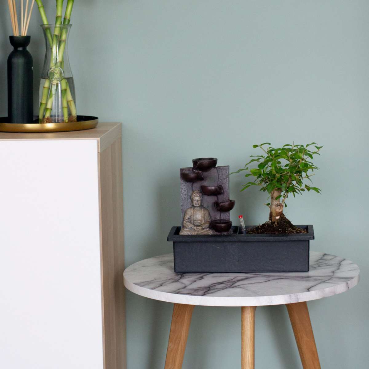 Florastore Bonsaibaume - Bonsai - Höhe 25-35Cm - ⌀29Cm