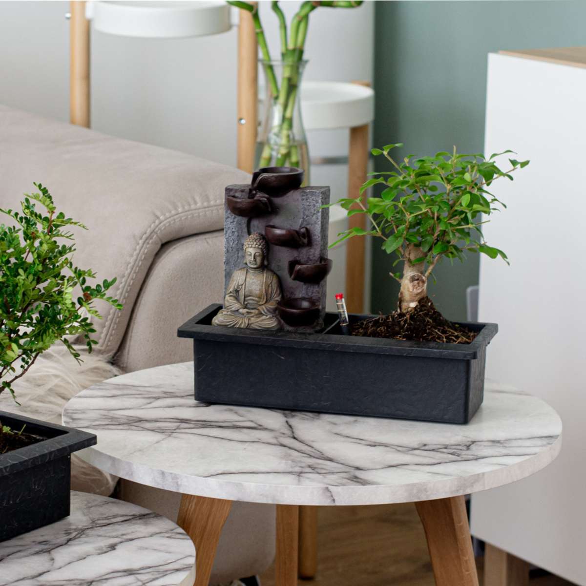 Florastore Bonsaibaume - Bonsai - Höhe 25-35Cm - ⌀29Cm