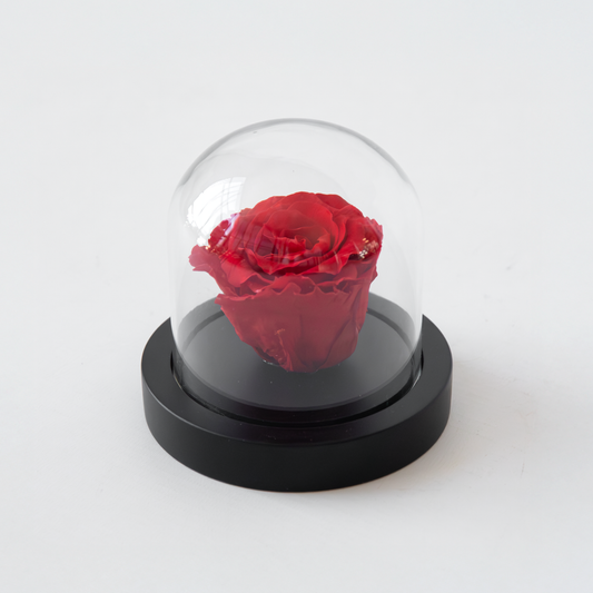 Florastore Konservierte Rote Rose Unter Glaskuppel - Echte Rose - Luxuriöses Geschenk