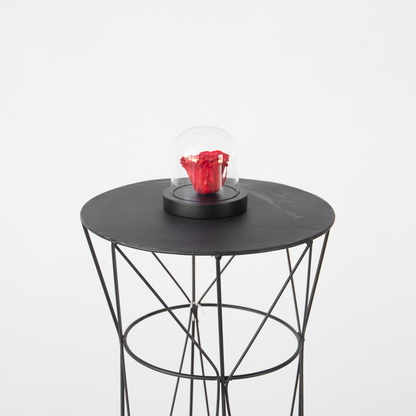Florastore Konservierte Rote Rose Unter Glaskuppel - Echte Rose - Luxuriöses Geschenk