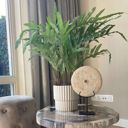 Florastore Künstliches Phlebodium – Höhe 80Cm