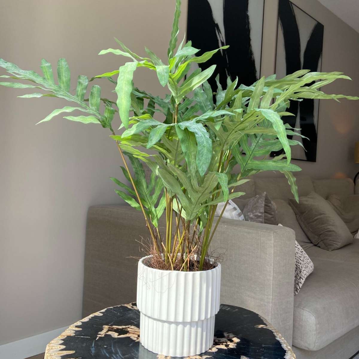 Florastore Künstliches Phlebodium – Höhe 80Cm