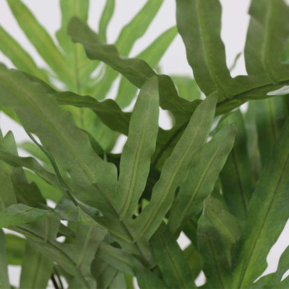 Florastore Künstliches Phlebodium – Höhe 80Cm