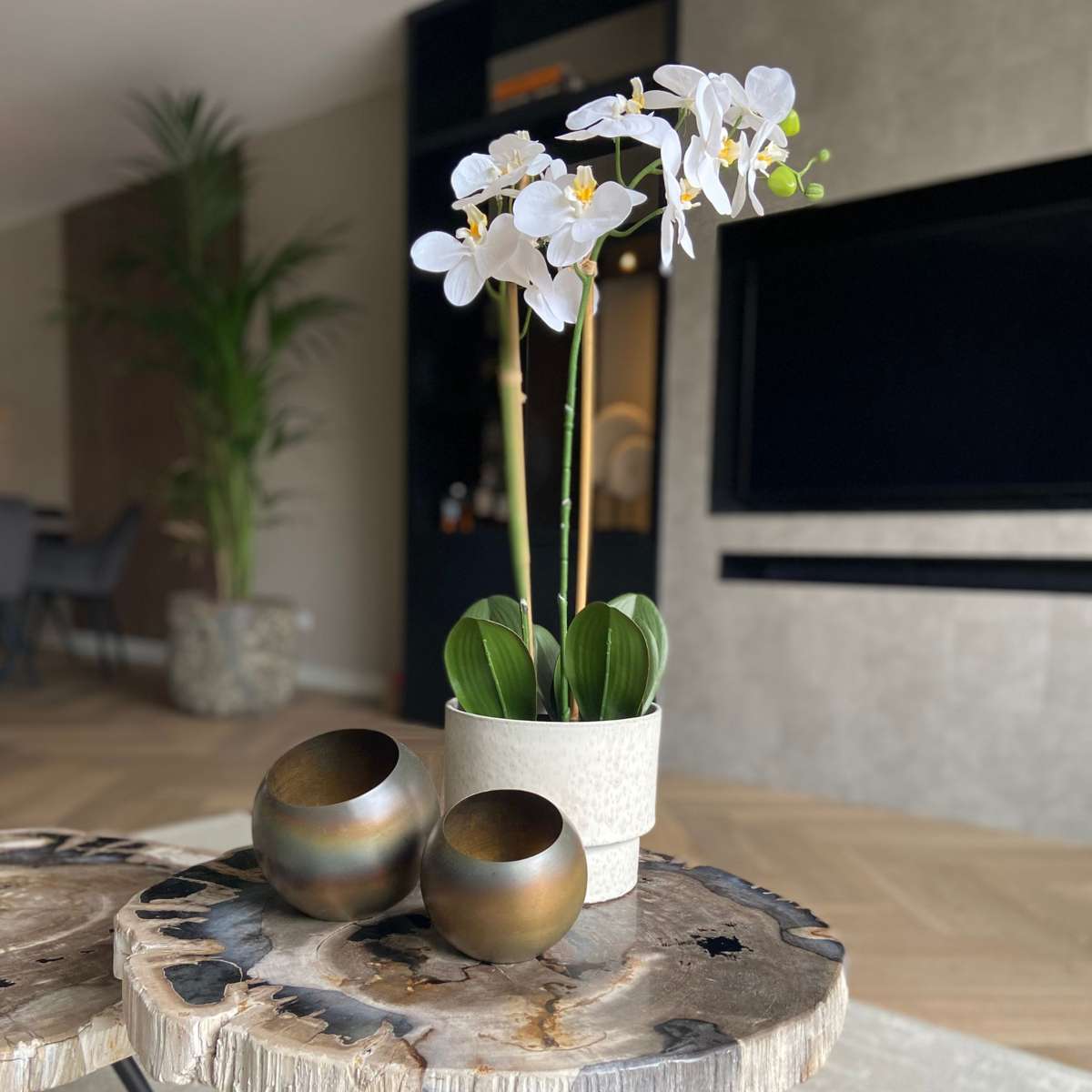 Florastore Künstliche Phalaenopsis-Orchidee – Höhe 55Cm