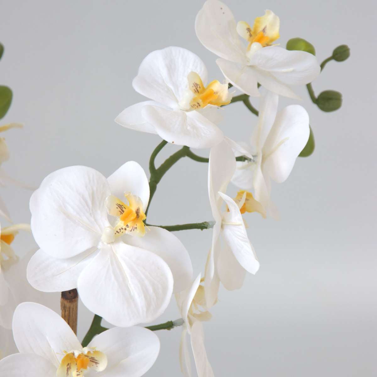 Florastore Künstliche Phalaenopsis-Orchidee – Höhe 55Cm