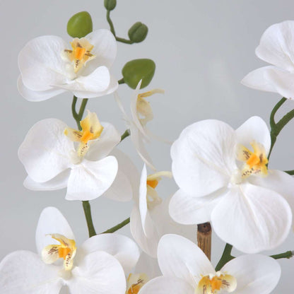 Florastore Künstliche Phalaenopsis-Orchidee – Höhe 55Cm