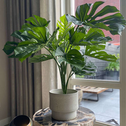 Florastore Künstliche Monstera – Höhe 85Cm