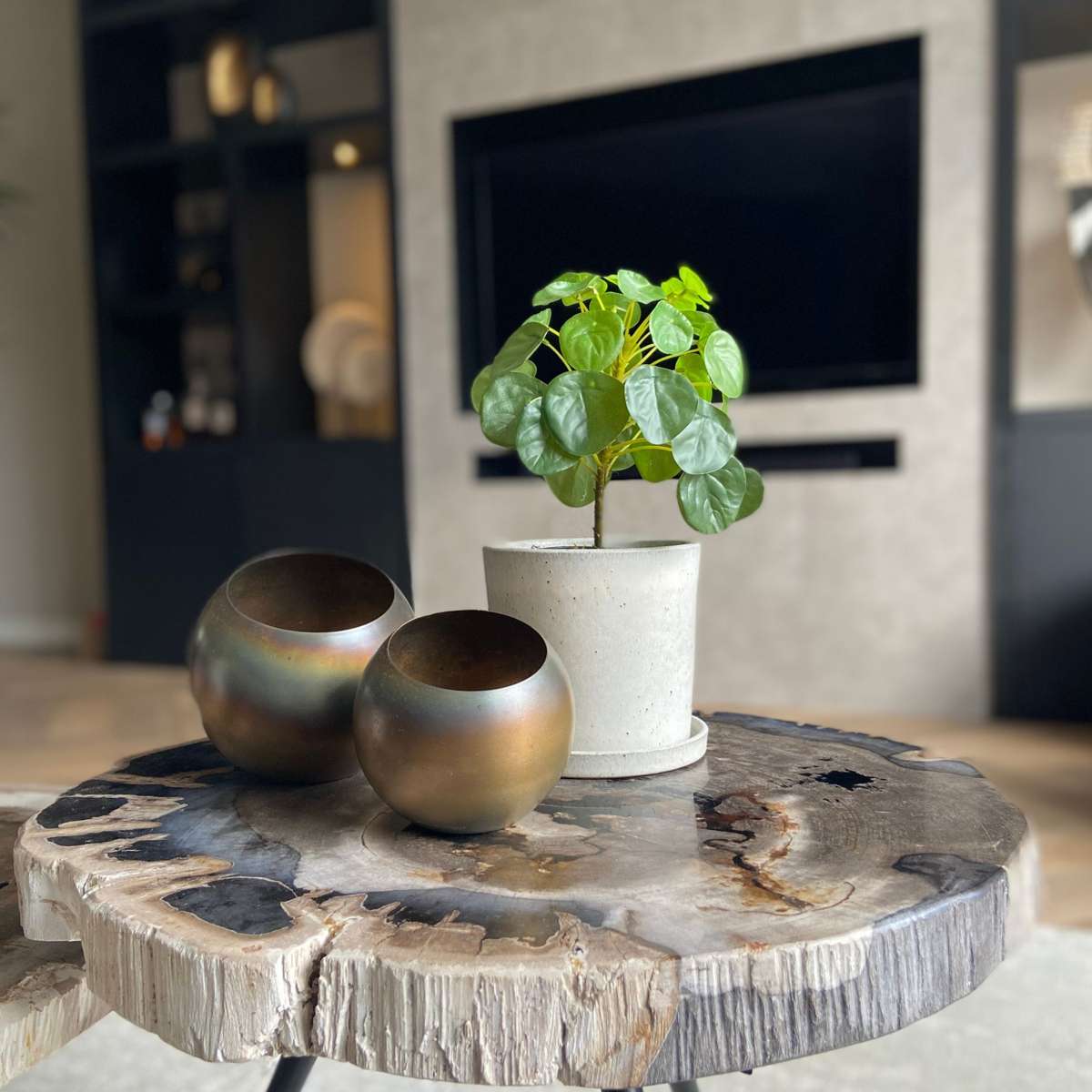 Florastore Künstliche Pilea Peperomioides – Höhe 25Cm