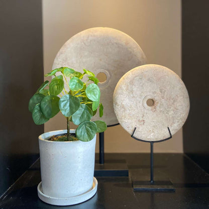 Florastore Künstliche Pilea Peperomioides – Höhe 25Cm