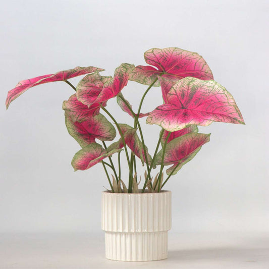Florastore Künstliche Caladium – Höhe 60Cm