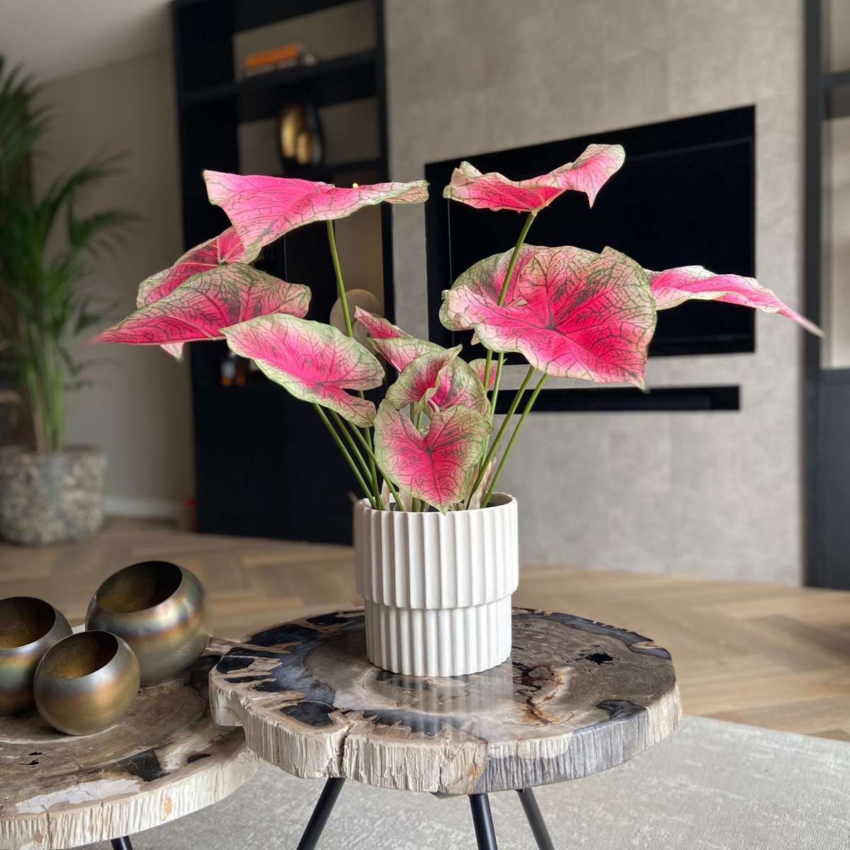 Florastore Künstliche Caladium – Höhe 60Cm