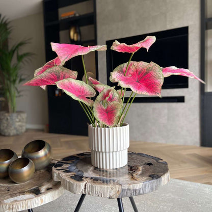 Florastore Künstliche Caladium – Höhe 60Cm