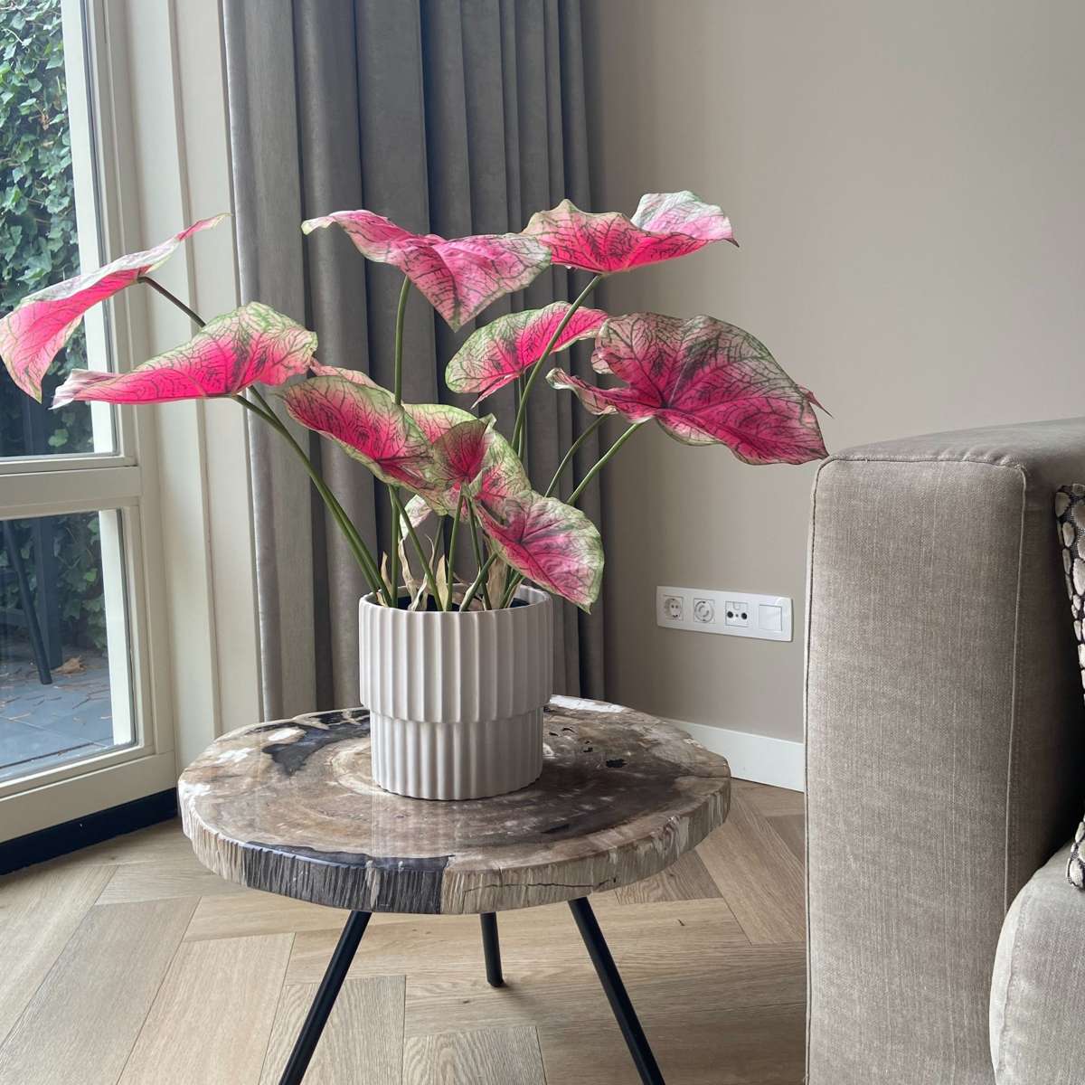 Florastore Künstliche Caladium – Höhe 60Cm