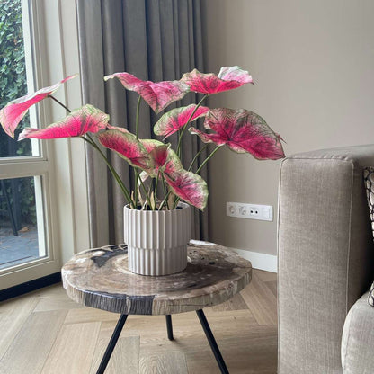 Florastore Künstliche Caladium – Höhe 60Cm