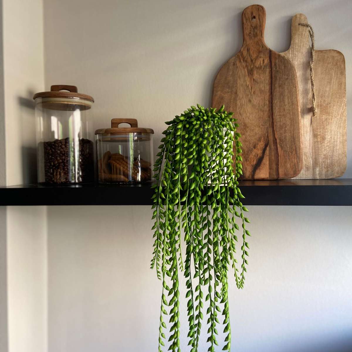 Florastore Künstlicher Senecio – Höhe 90Cm