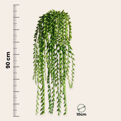 Florastore Künstlicher Senecio – Höhe 90Cm