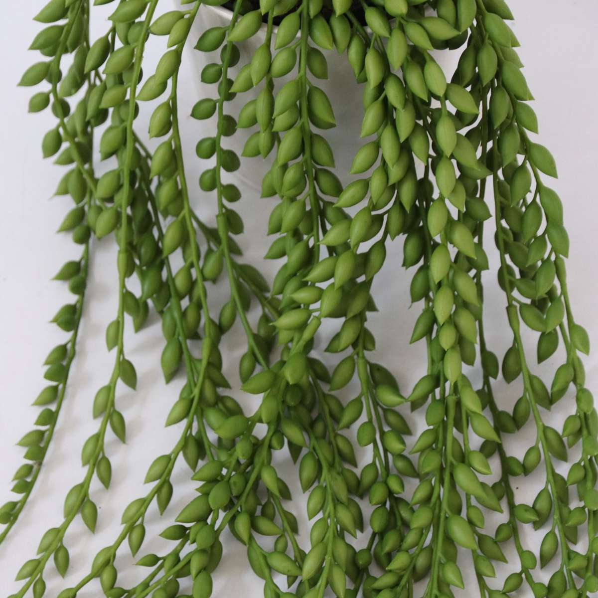Florastore Künstlicher Senecio – Höhe 90Cm