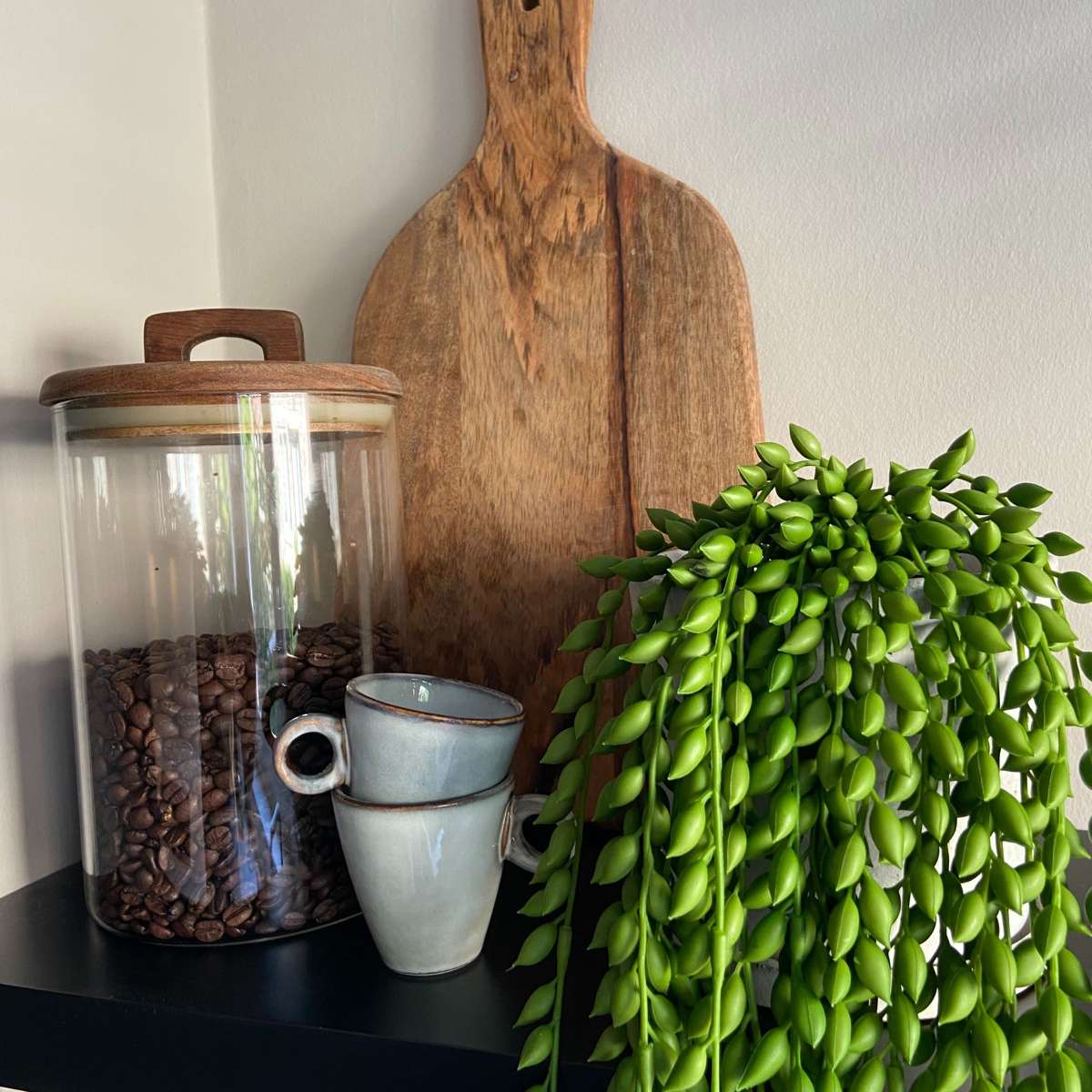 Florastore Künstlicher Senecio – Höhe 90Cm