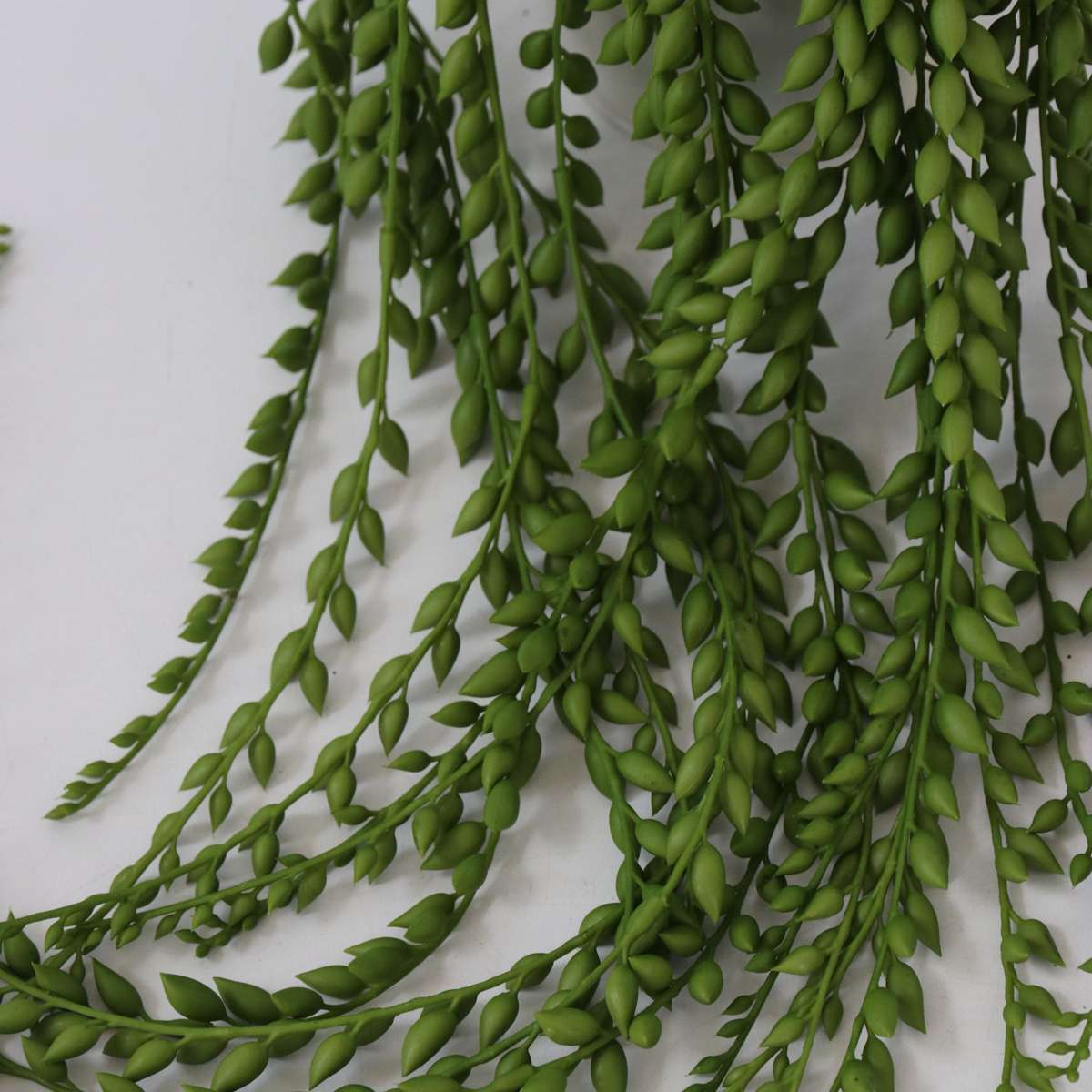 Florastore Künstlicher Senecio – Höhe 90Cm