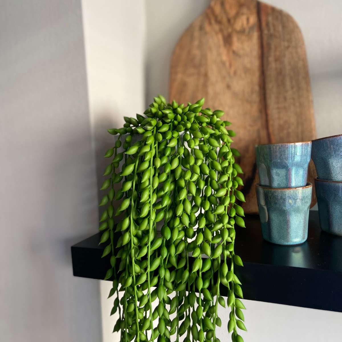 Florastore Künstlicher Senecio – Höhe 90Cm