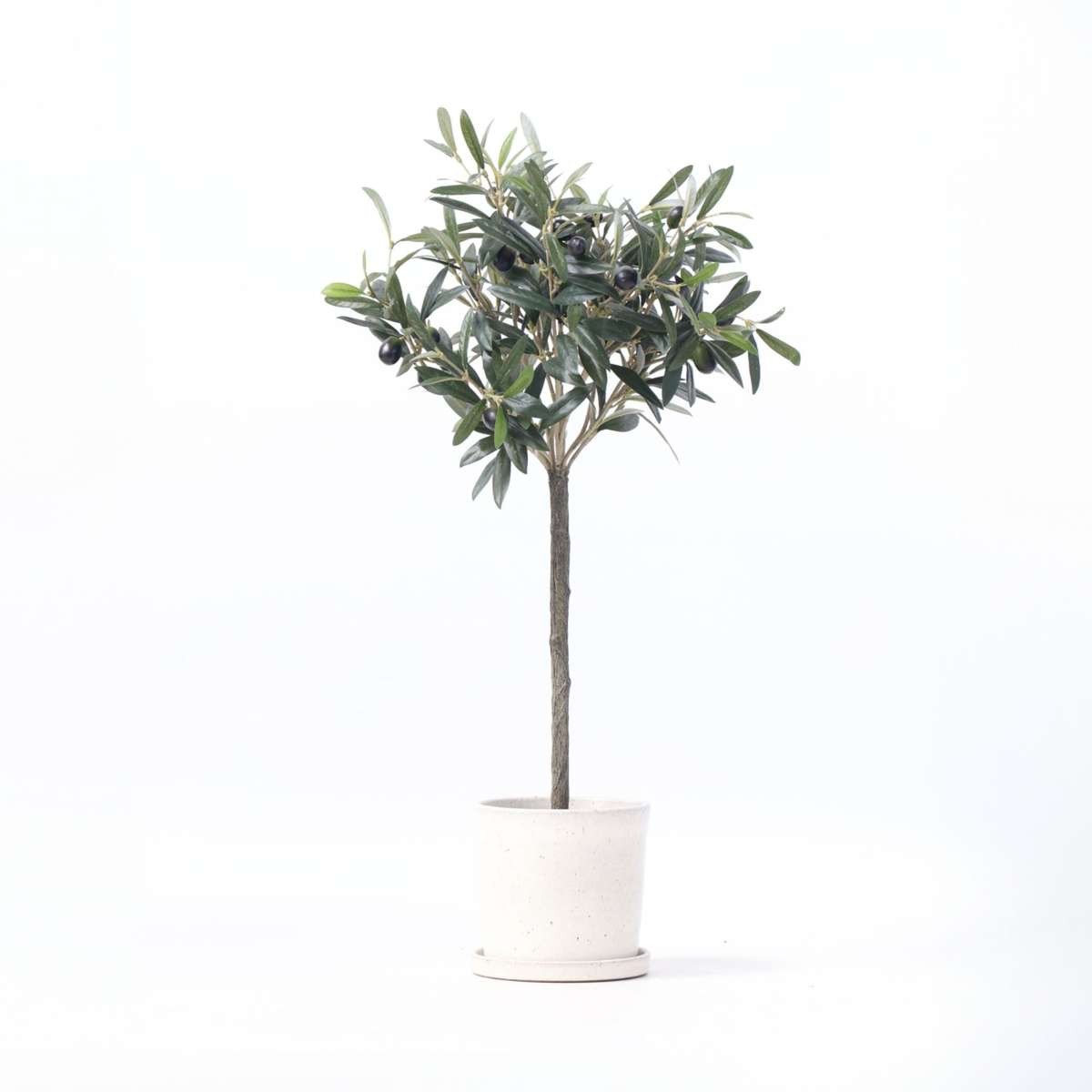 Florastore Künstlicher Olivenbaum – Höhe 65Cm