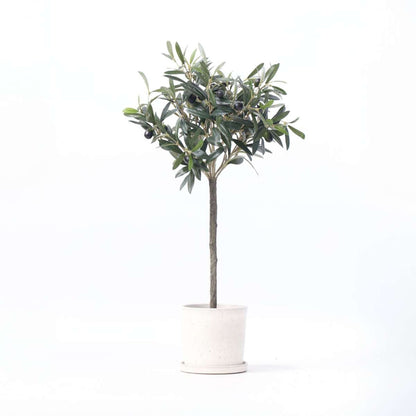 Florastore Künstlicher Olivenbaum – Höhe 65Cm