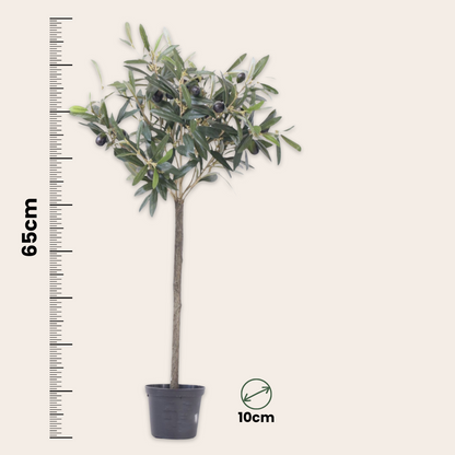 Florastore Künstlicher Olivenbaum – Höhe 65Cm
